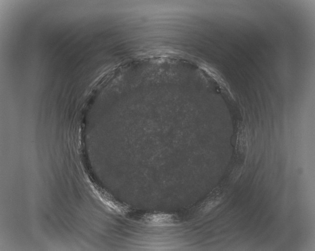 X0000078870501200611201343