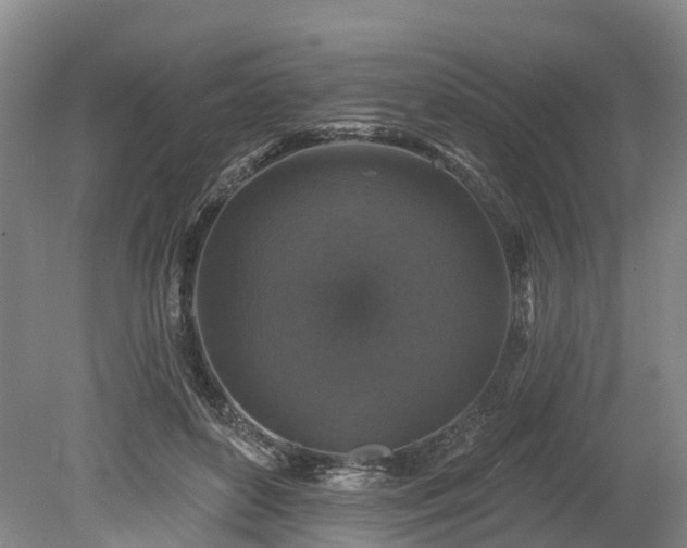 X0000078870504200611201343