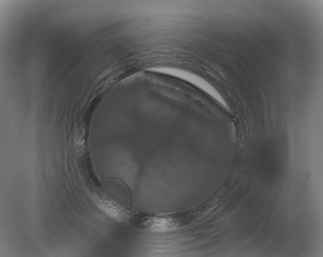 X0000078870507200611201343