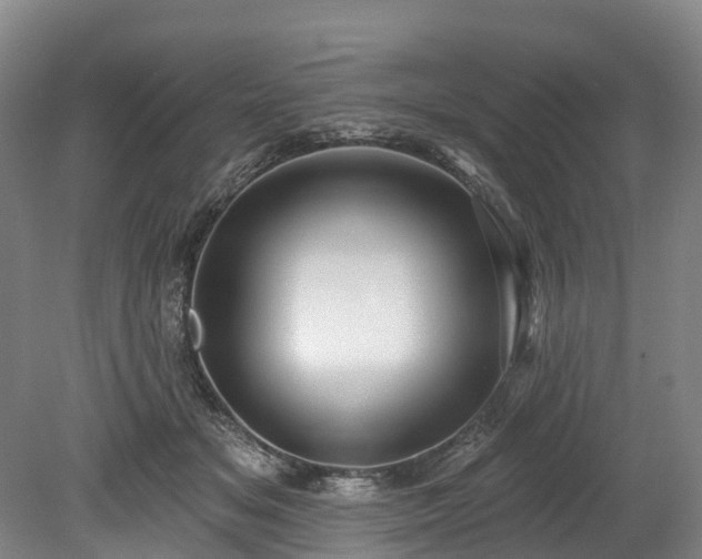 X0000078870509200611201343