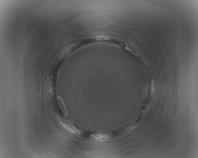 X0000078870512200611201343