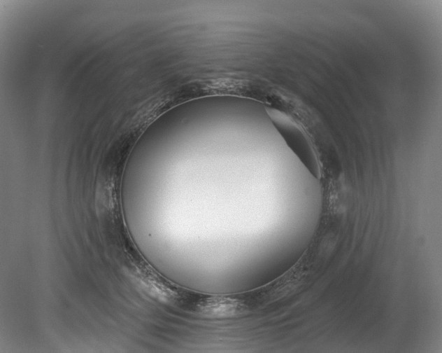 X0000078870514200611201343