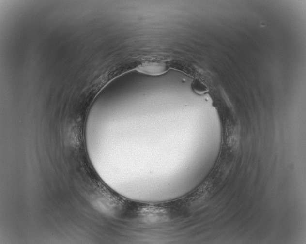 X0000078870515200611201343
