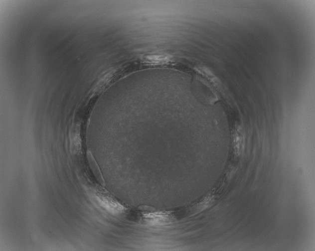 X0000078870516200611201343