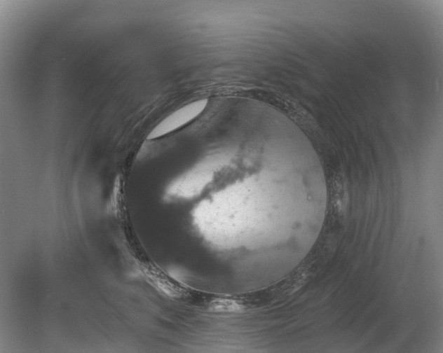 X0000078870519200611201343