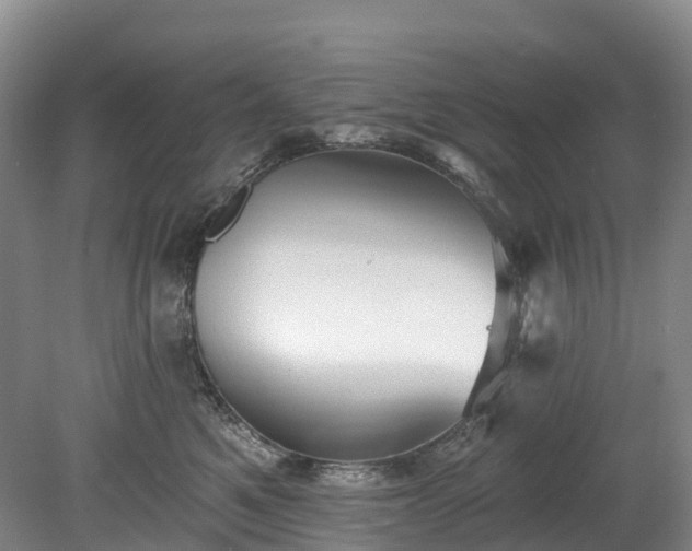 X0000078870521200611201343
