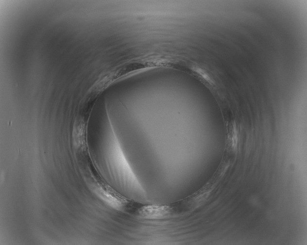 X0000078870526200611201343