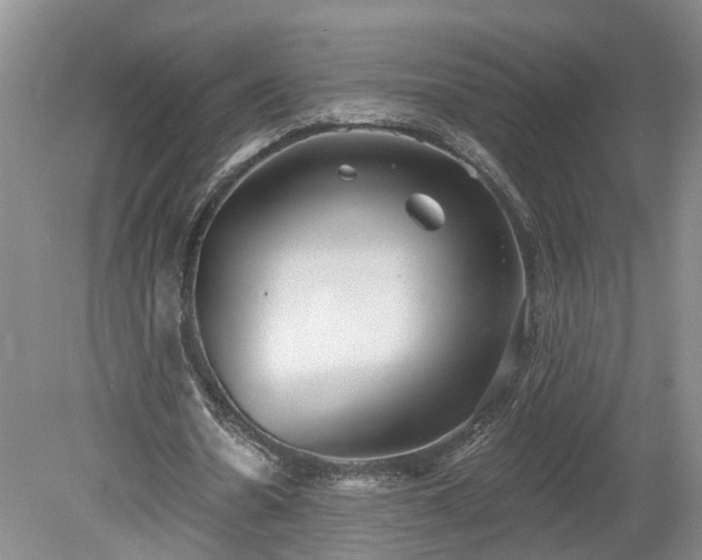 X0000078870530200611201342
