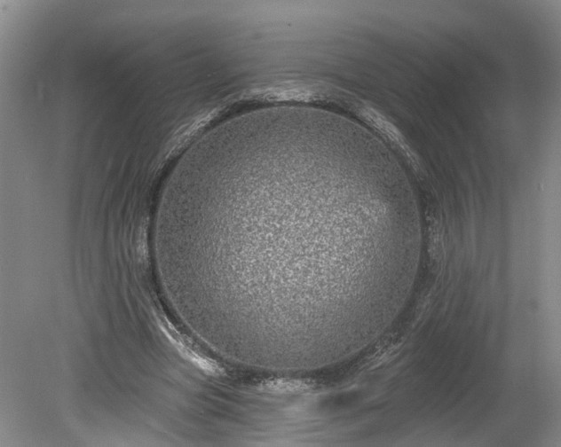 X0000078870537200611201342