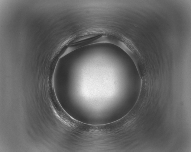 X0000078870538200611201342