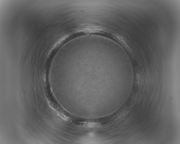 X0000078870539200611201342