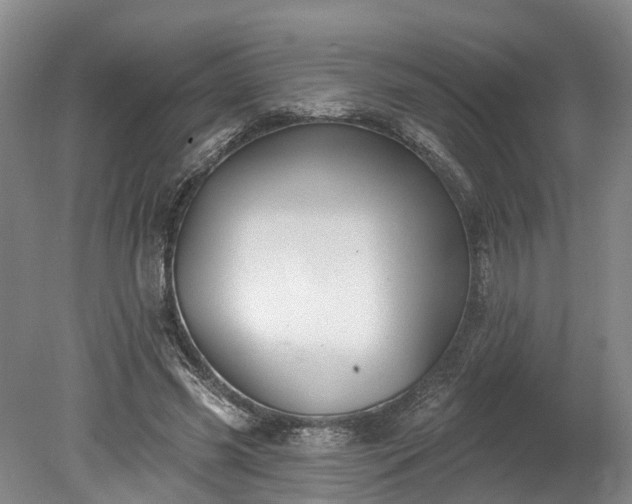 X0000078870541200611201342