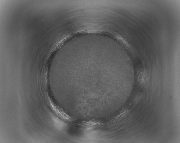 X0000078870542200611201342