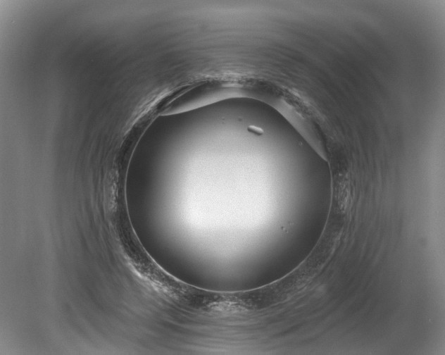 X0000078870544200611201342