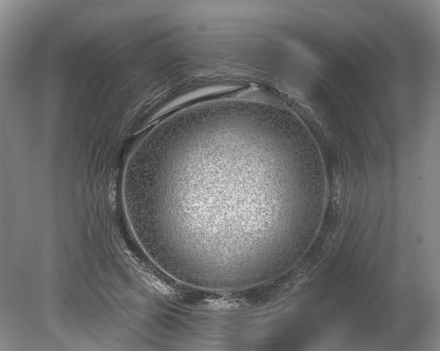 X0000078870545200611201342