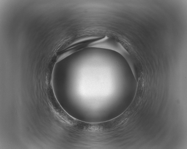 X0000078870546200611201342