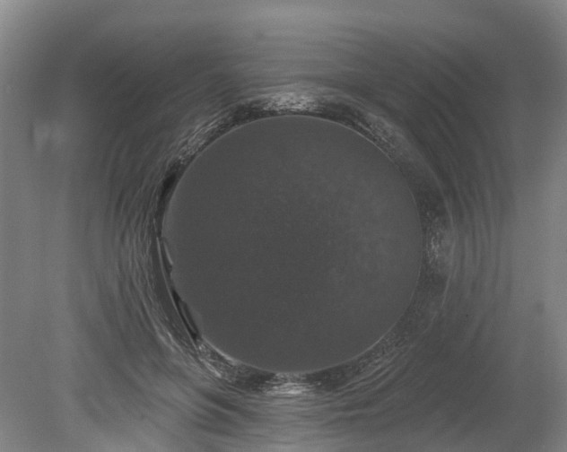X0000078870551200611201342