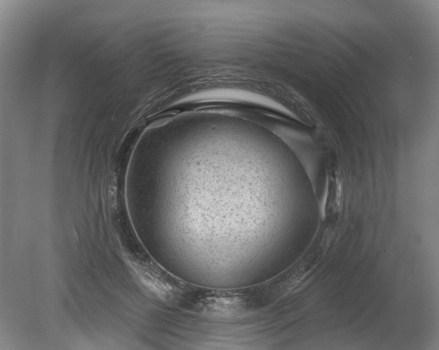 X0000078870552200611201342