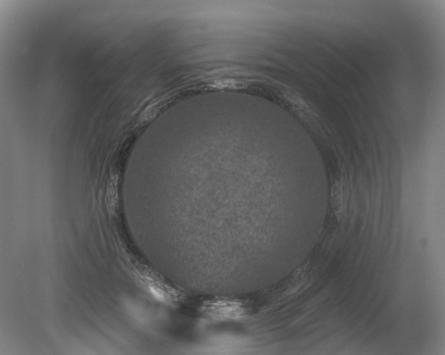 X0000078870554200611201342