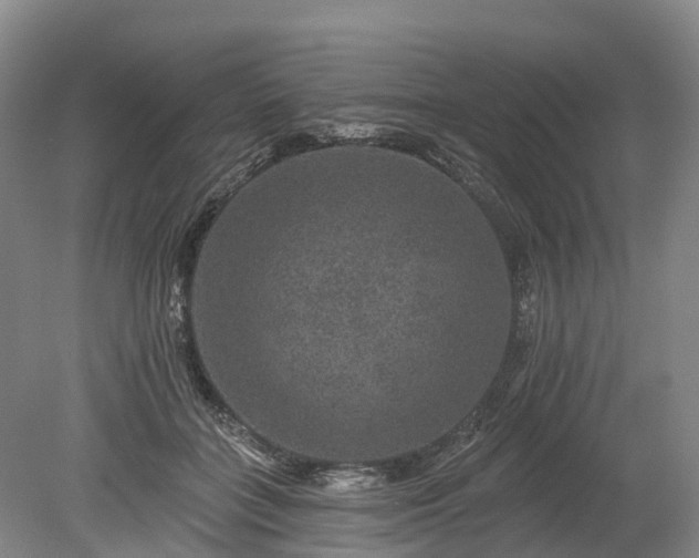 X0000078870555200611201342