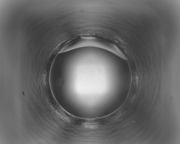 X0000078870556200611201342