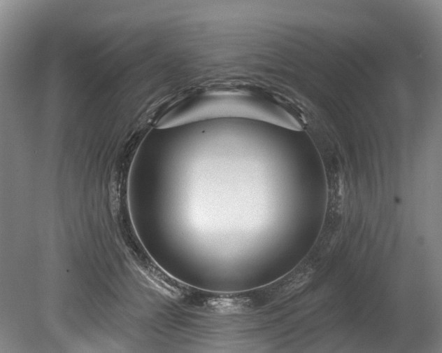 X0000078870558200611201342