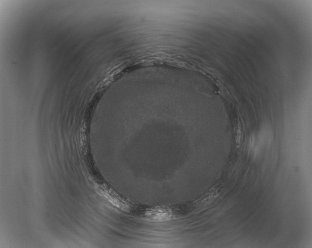 X0000078870559200611201342
