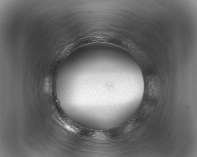 X0000078870562200611201342