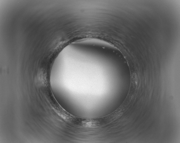 X0000078870564200611201342