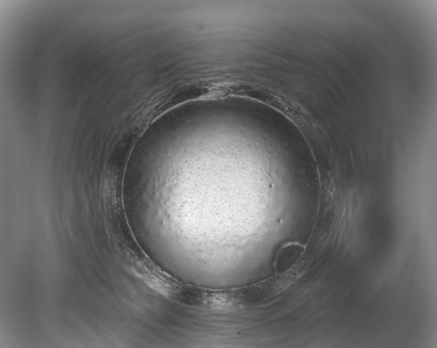 X0000078870565200611201342