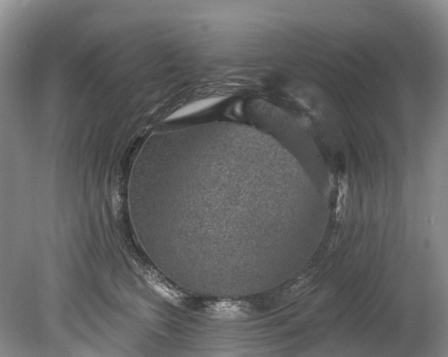 X0000078870566200611201342