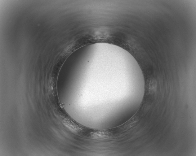 X0000078870567200611201342