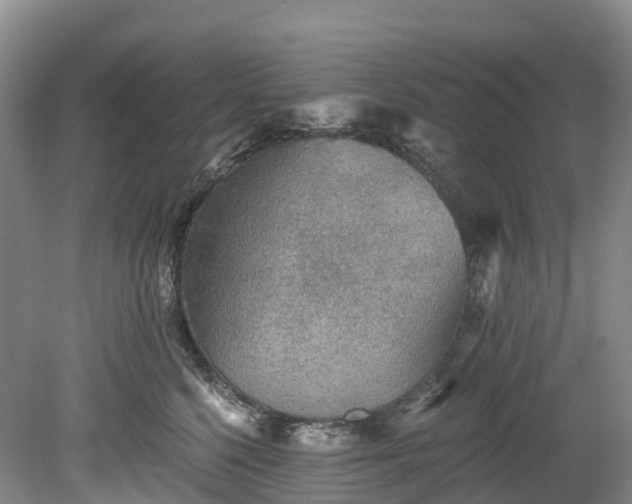 X0000078870568200611201342