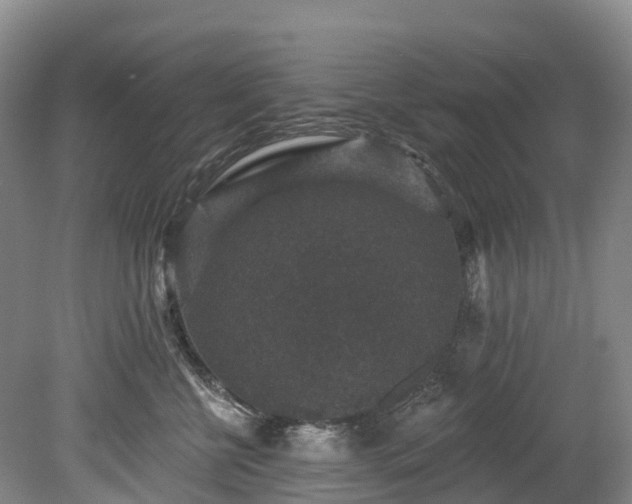 X0000078870570200611201343