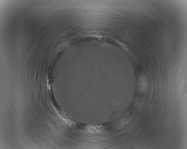 X0000078870571200611201343