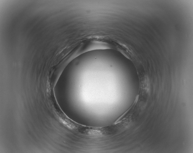 X0000078870572200611201343