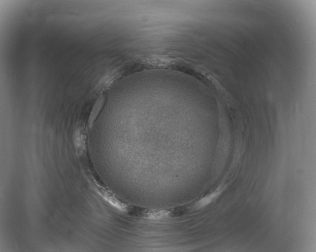 X0000078870576200611201343