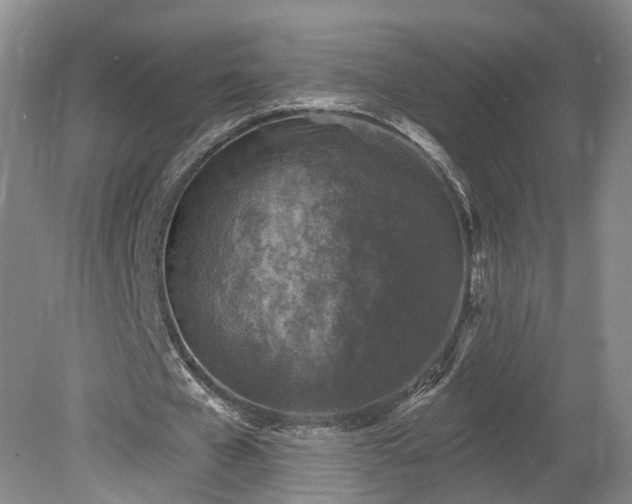 X0000078870577200611201342