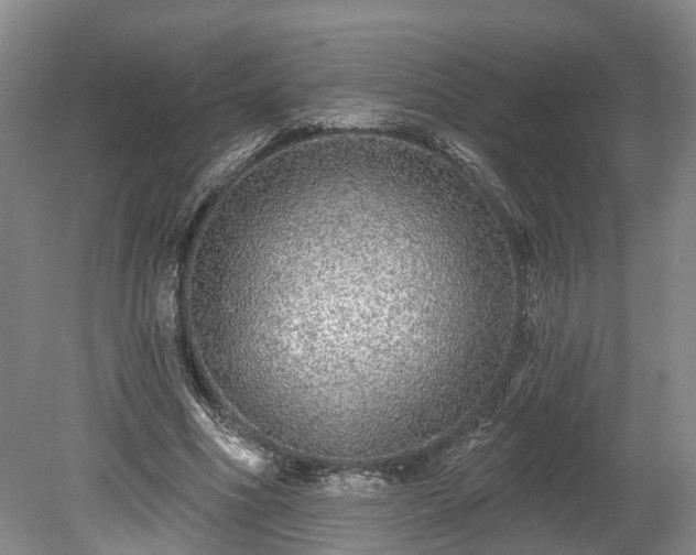 X0000078870586200611201342