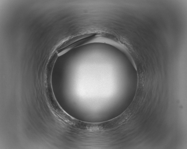 X0000078870587200611201342