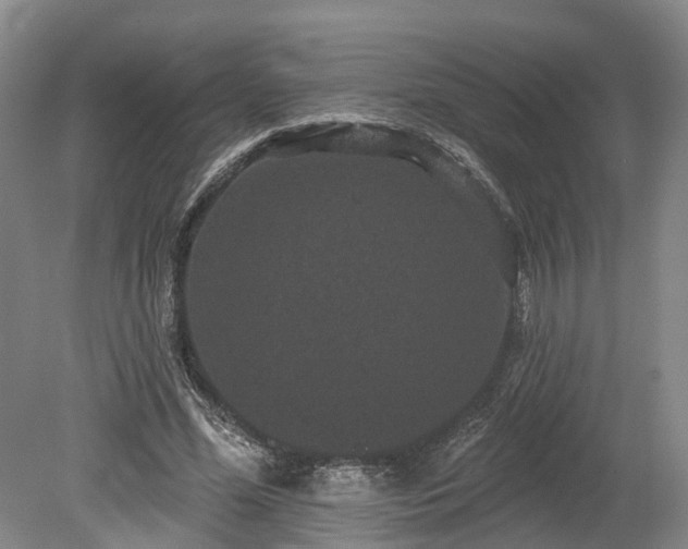 X0000078870588200611201342
