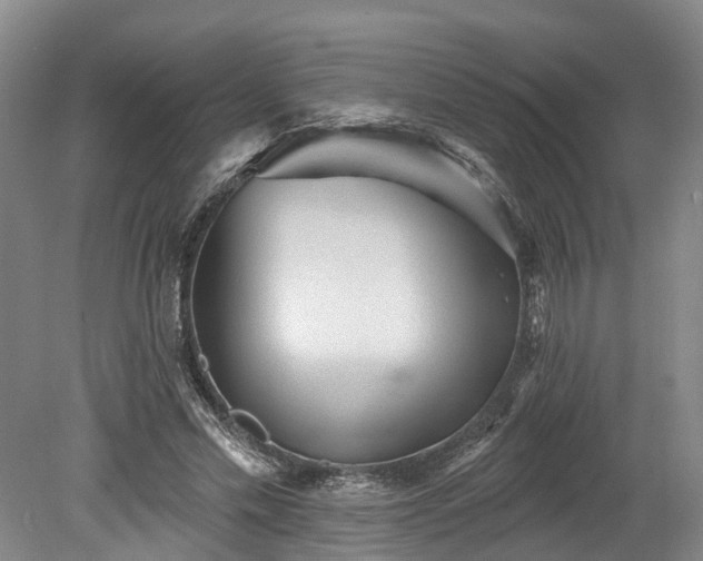 X0000078870589200611201342