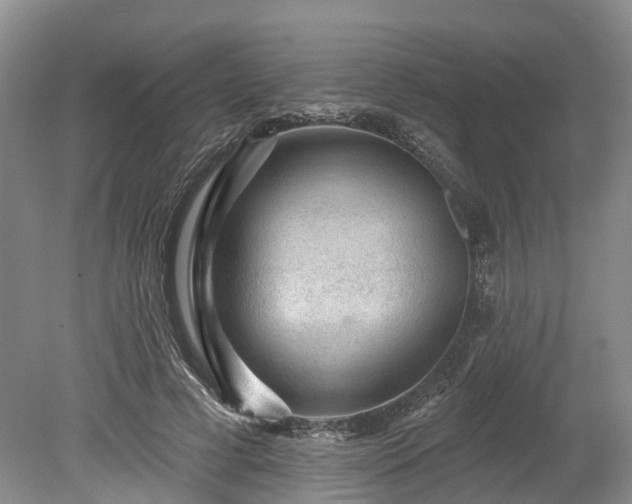 X0000078870593200611201342