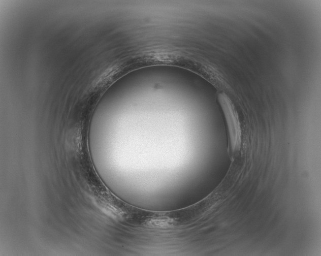 X0000078870595200611201341
