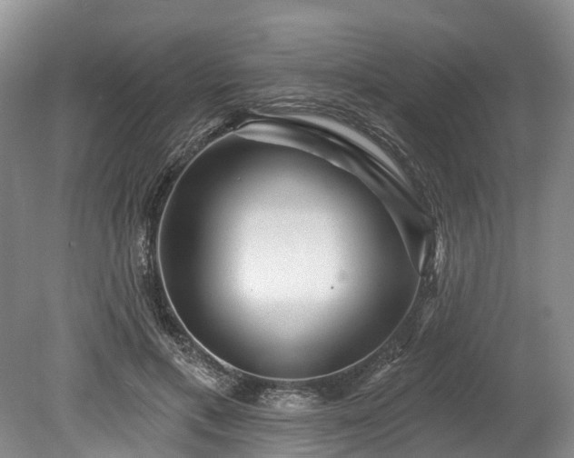 X0000078870597200611201341