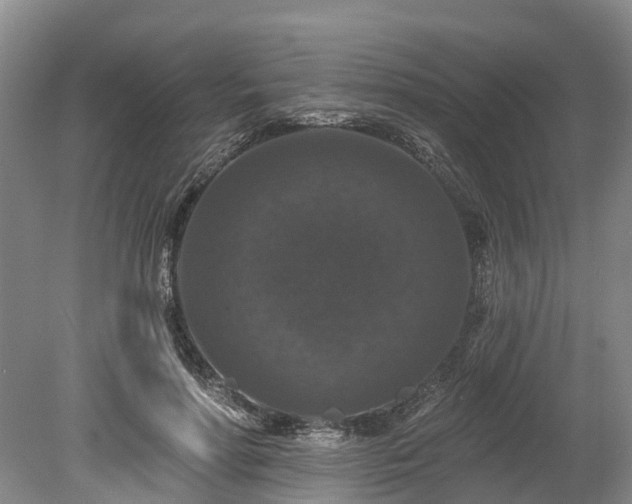 X0000078870598200611201341