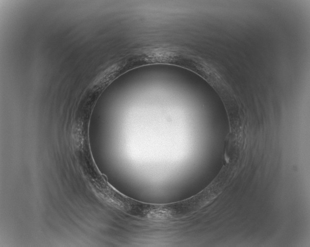 X0000078870599200611201341
