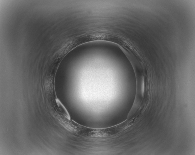 X0000078870601200611201341