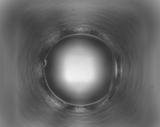 X0000078870605200611201341