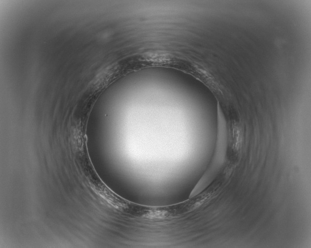 X0000078870609200611201341